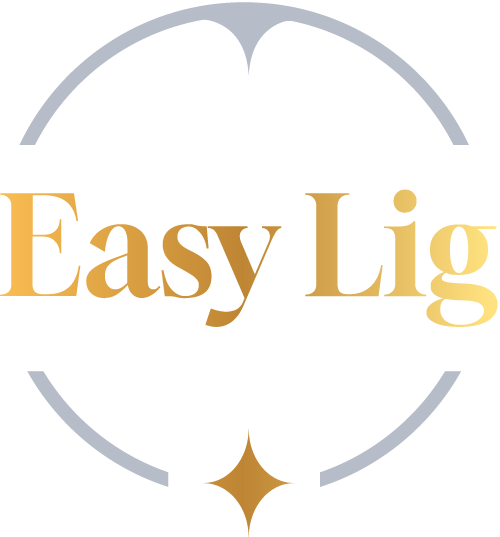 Logo Easy Lig